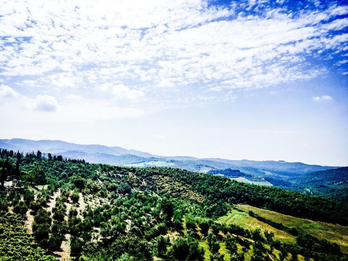 Casa Vacanze Vertine Gaiole in Chianti Zewnętrze zdjęcie